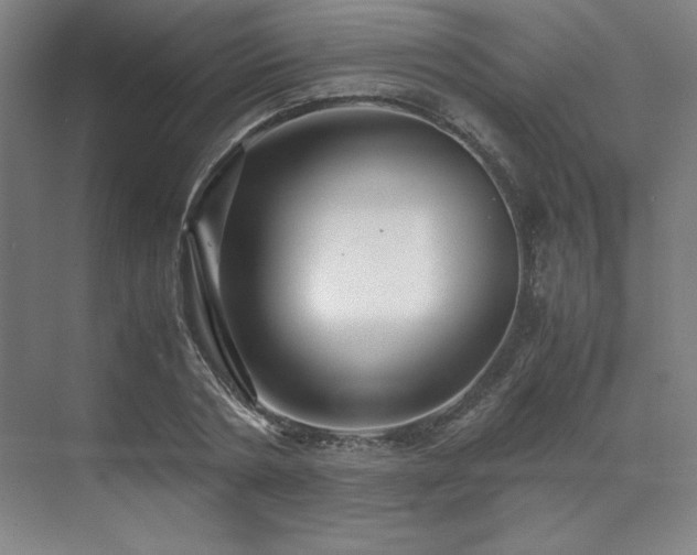 X0000071810786200606301226