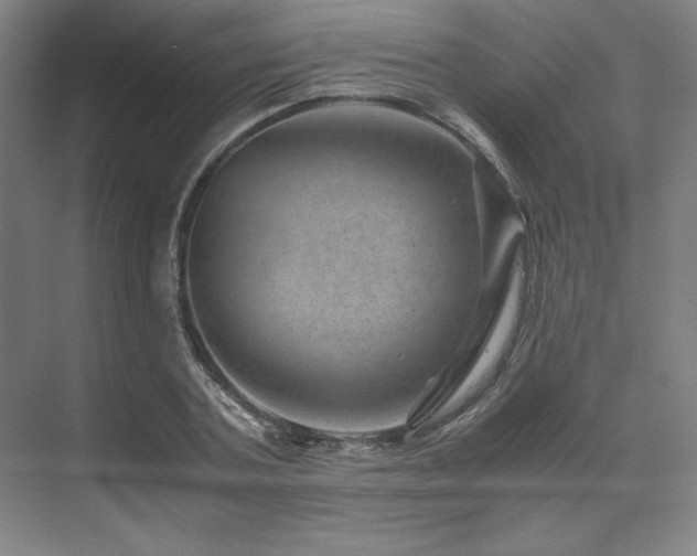 X0000071810787200606301226