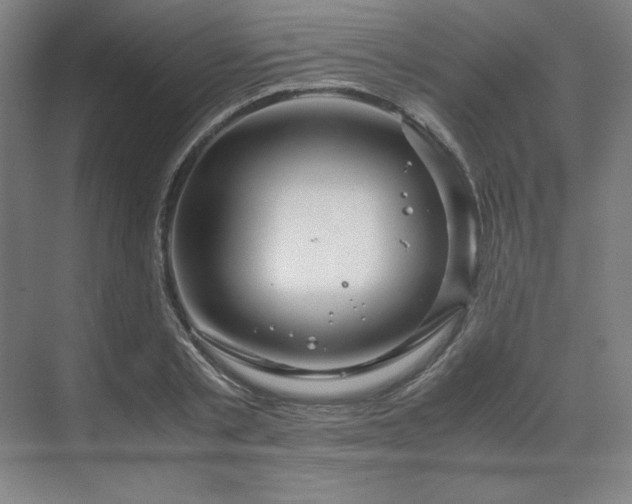 X0000071810789200606301226