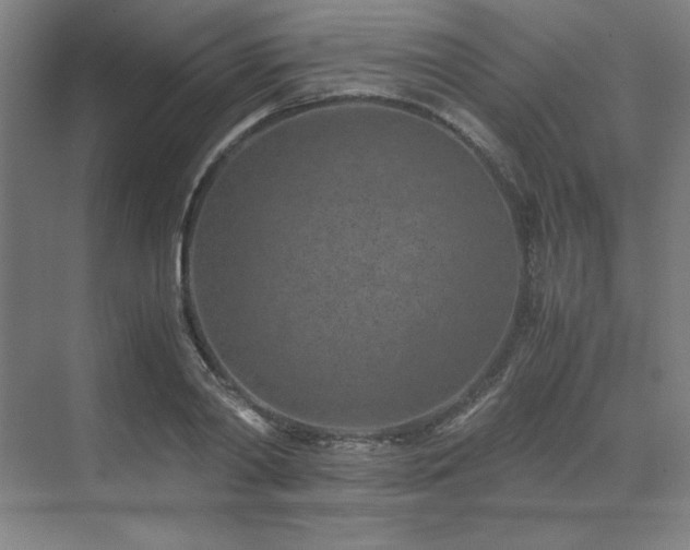 X0000071810790200606301226