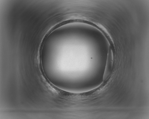 X0000071810791200606301226