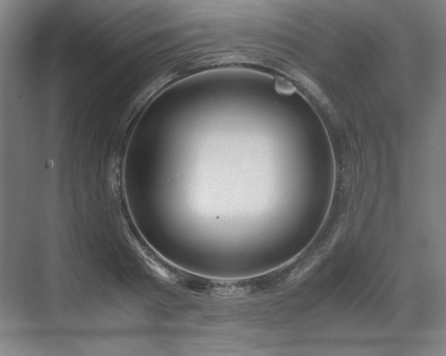 X0000071810793200606301226