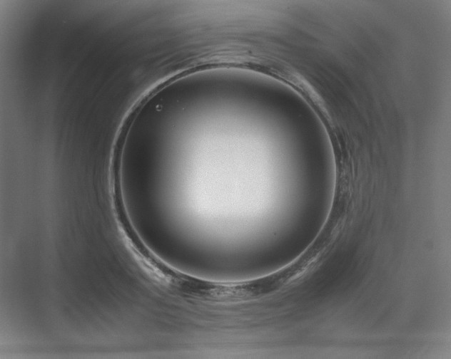 X0000071810795200606301225