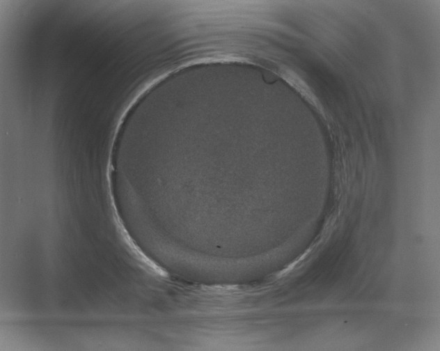 X0000071810797200606301225