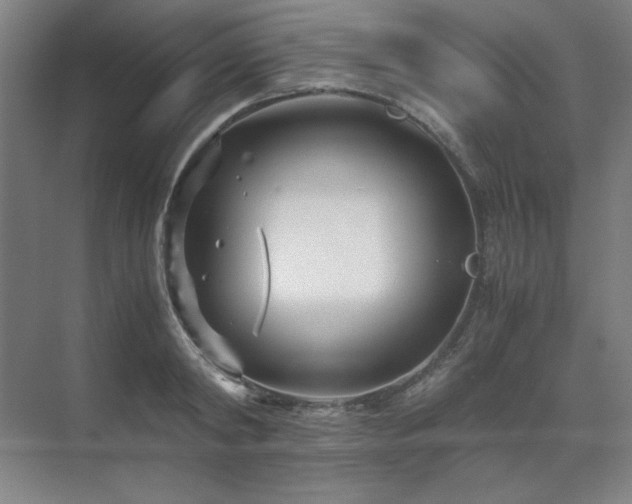 X0000071810798200606301225