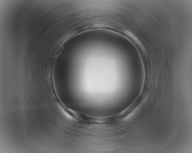 X0000071810801200606301225