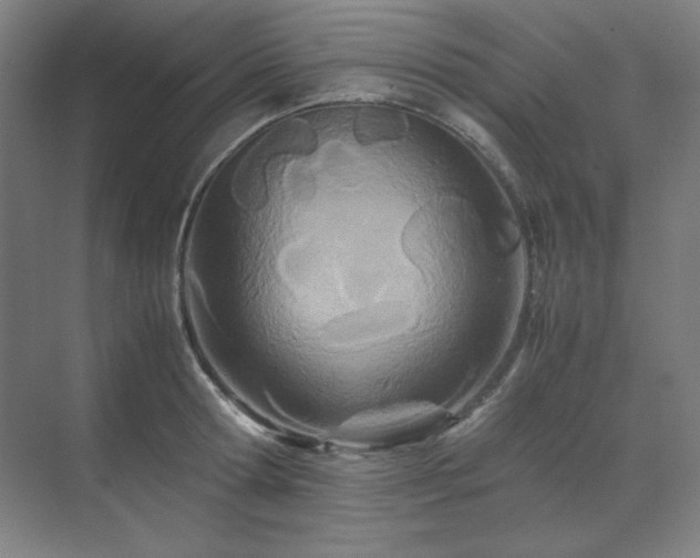 X0000071810802200606301225