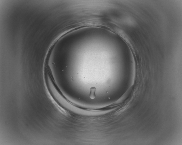 X0000071810803200606301225