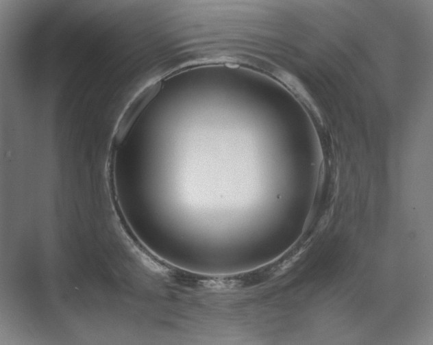 X0000071810805200606301225