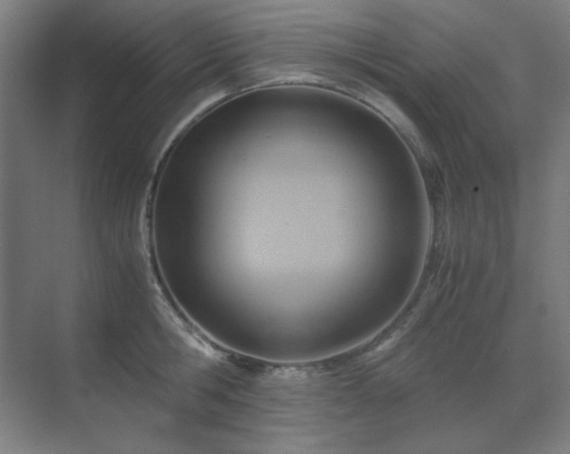 X0000071810806200606301225