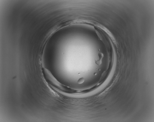 X0000071810809200606301225