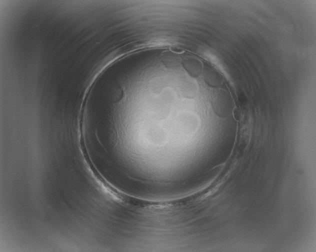 X0000071810810200606301225