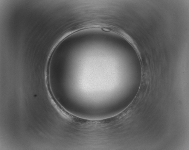 X0000071810811200606301225