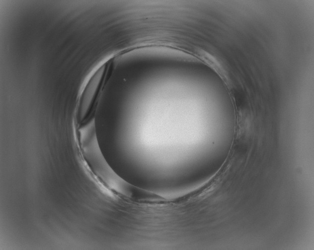 X0000071810812200606301225