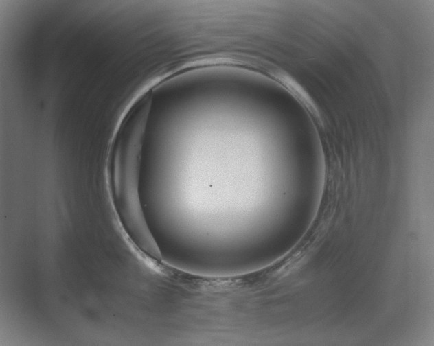 X0000071810813200606301225