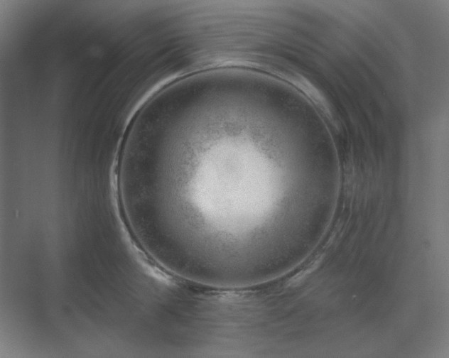 X0000071810814200606301225