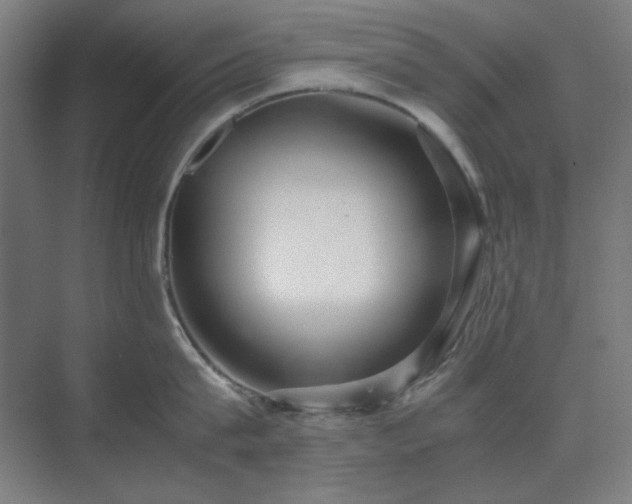 X0000071810815200606301225