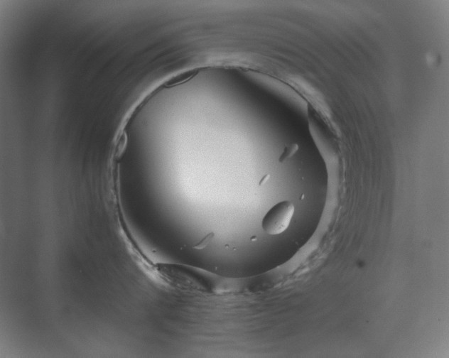 X0000071810816200606301225