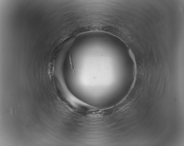 X0000071810818200606301224