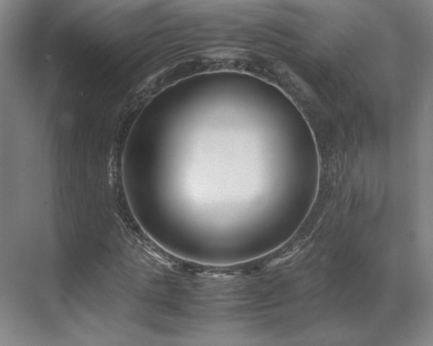 X0000071810821200606301224