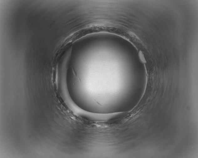 X0000071810822200606301224