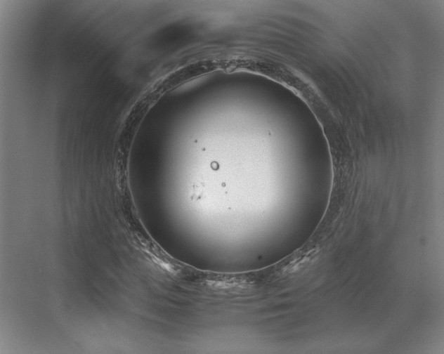 X0000071810823200606301224