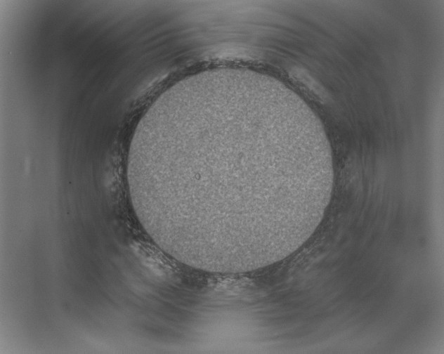 X0000071810824200606301224