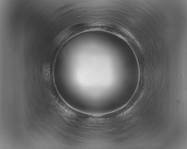 X0000071810825200606301224