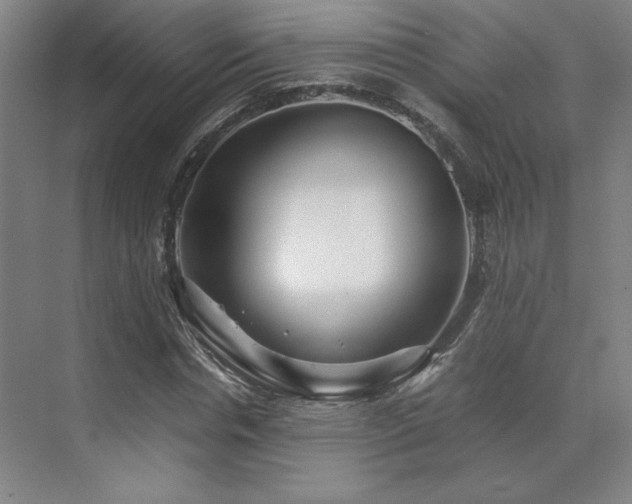 X0000071810826200606301224