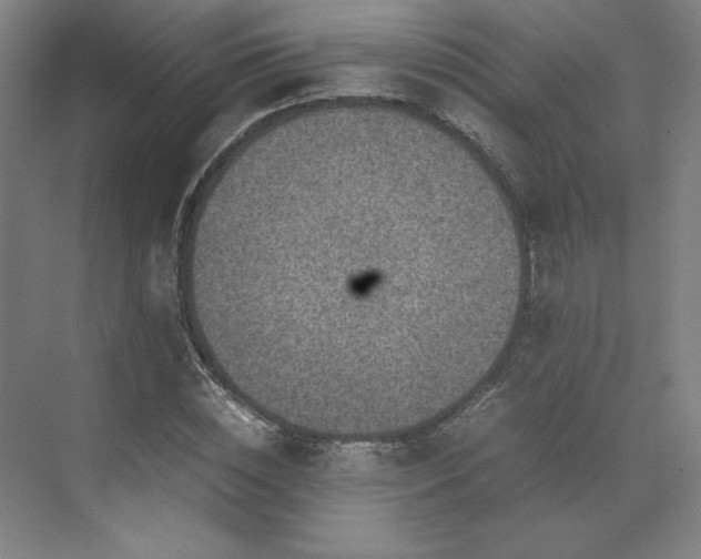 X0000071810828200606301225