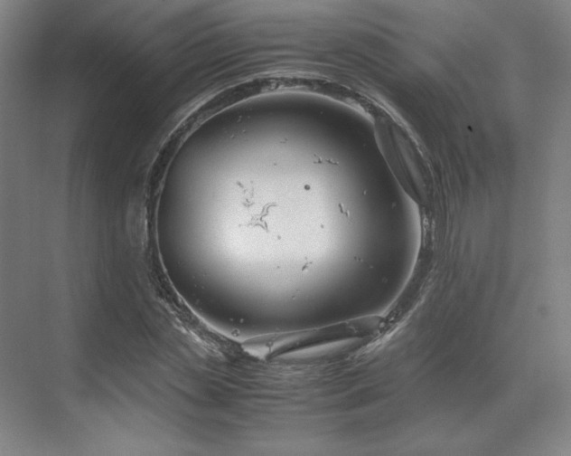 X0000071810829200606301225