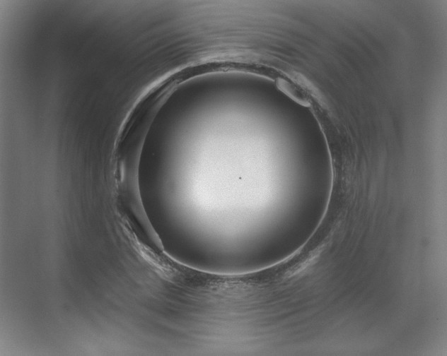 X0000071810830200606301225