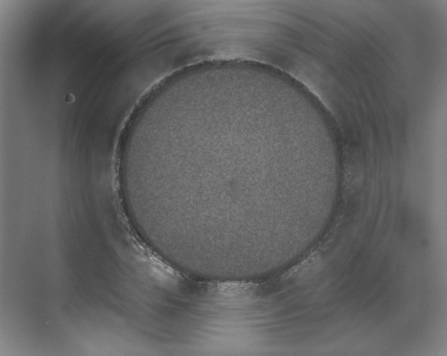 X0000071810832200606301225