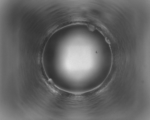 X0000071810833200606301225