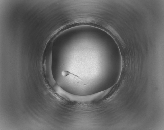 X0000071810834200606301225