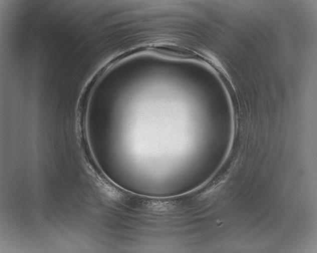 X0000071810835200606301225