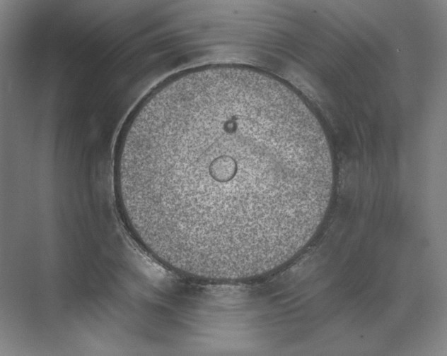 X0000071810836200606301225