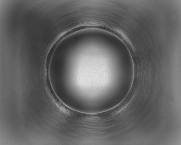 X0000071810837200606301225