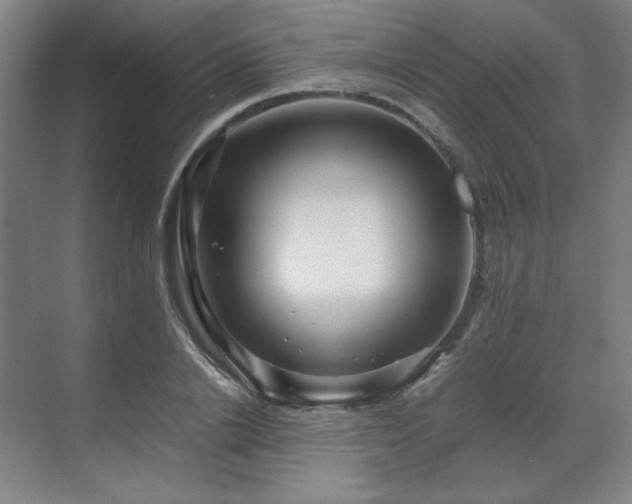 X0000071810838200606301225