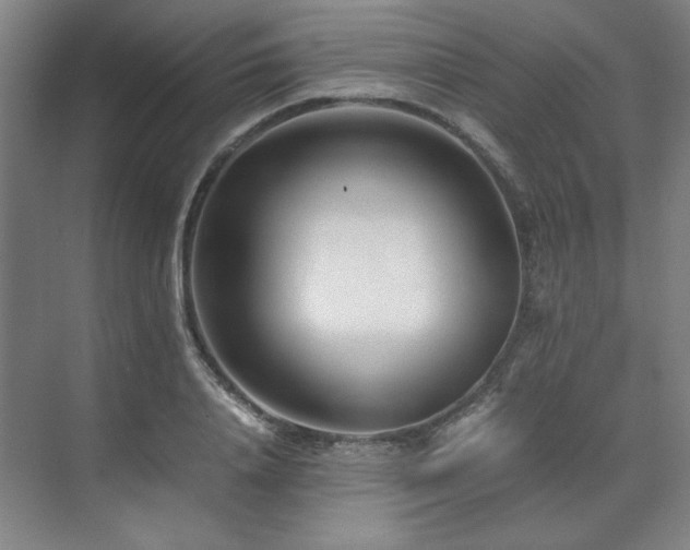 X0000071810840200606301225