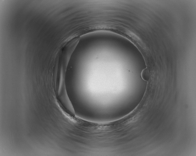 X0000071810841200606301225