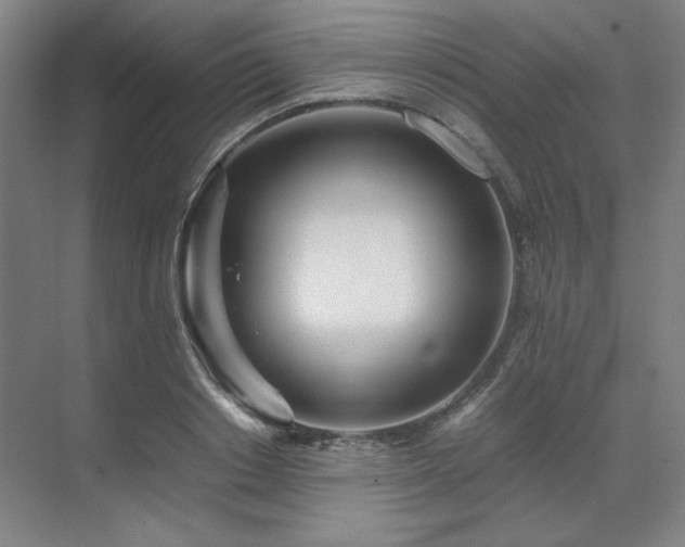 X0000071810842200606301225