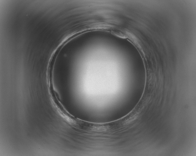 X0000071810843200606301225