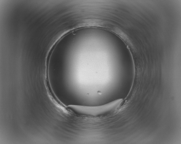 X0000071810844200606301225