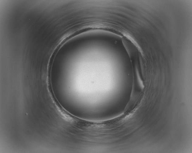 X0000071810845200606301225