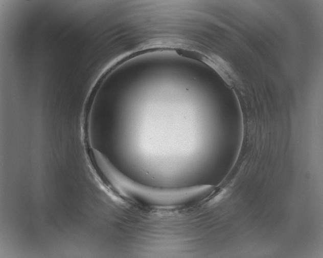 X0000071810846200606301225