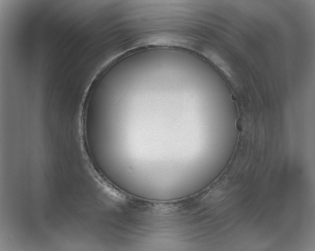 X0000071810848200606301225