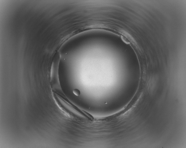 X0000071810849200606301225