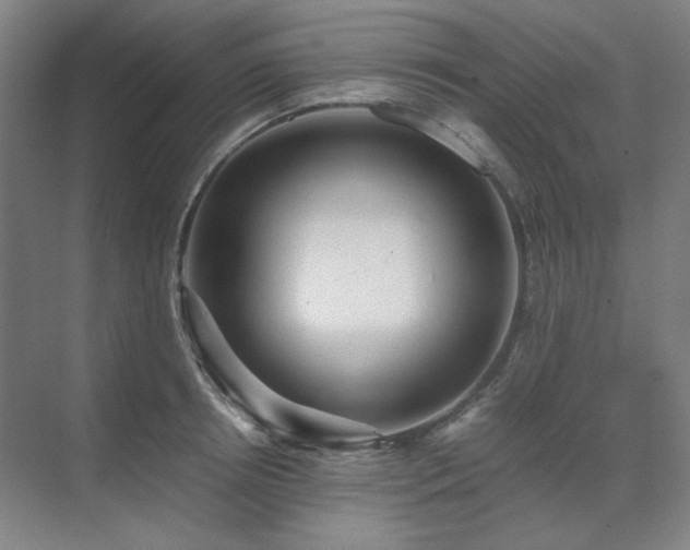 X0000071810850200606301225