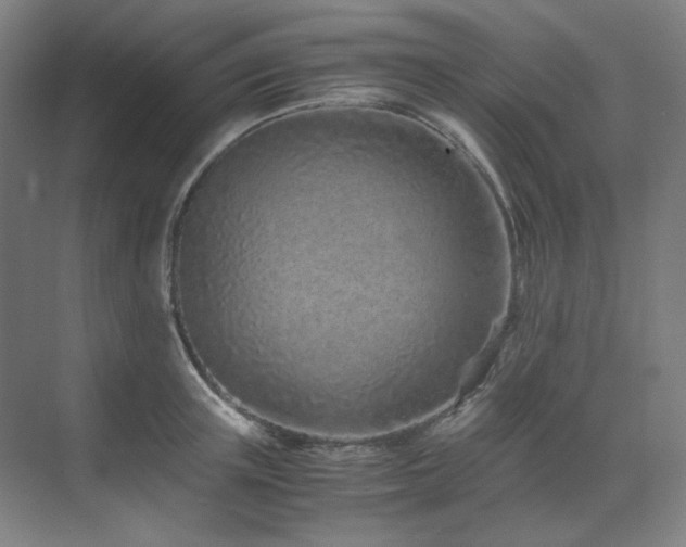 X0000071810851200606301225